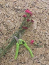 Cut Flowers to 1 inch